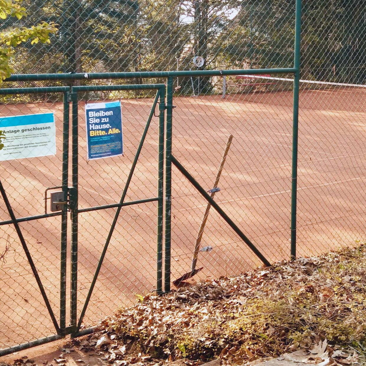 tennisfeldweb.jpg tennisfeldweb.jpg