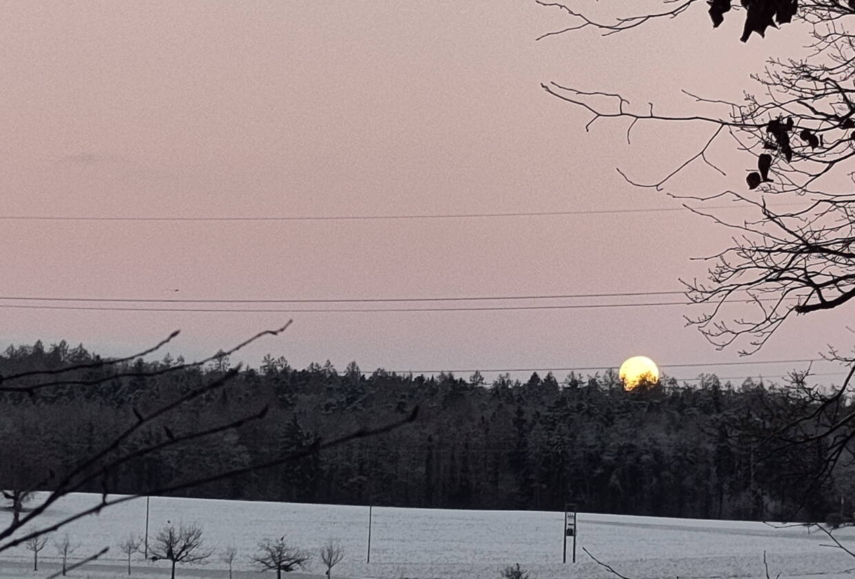 Ein untergehender Vollmond an einem Wintermorgen