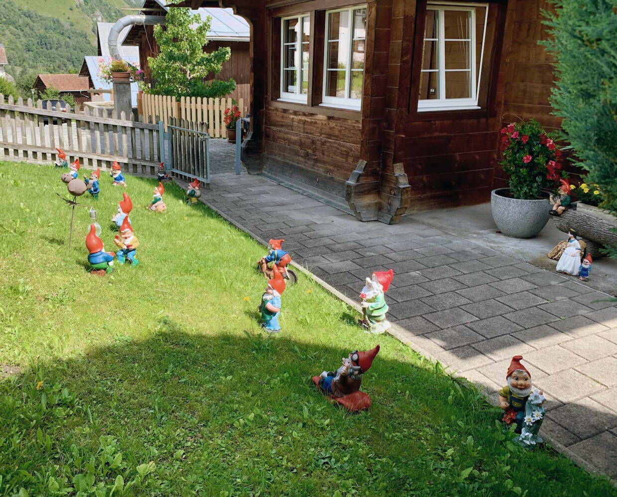 gartenzwergeweb.jpg