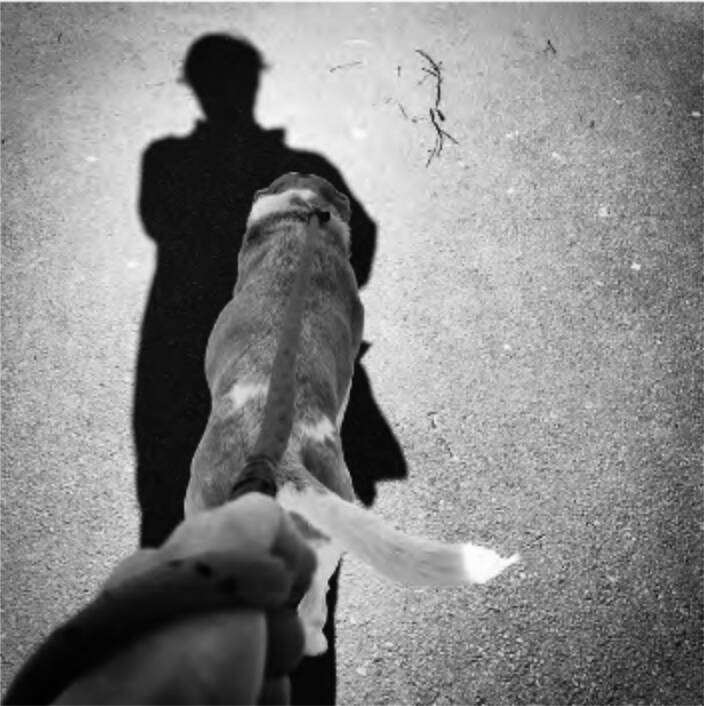 Further Adventures in Deep Canine Topography: Experiments in Canine Soundscapes. Attending to Rhythm and RepetitionO’Brien and O’Brien, 2020-2023
https://www.researchcatalogue.net/shared/b13c5fa83b84022ce165a3d94ca7ae27