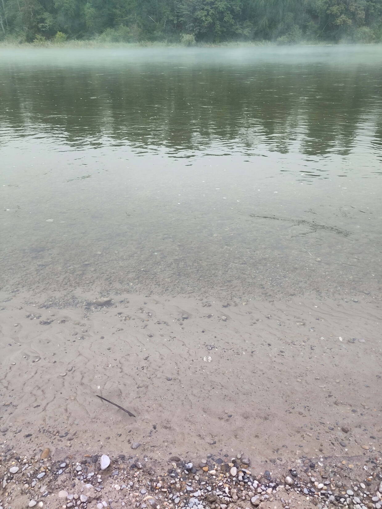 sedimentationweb.jpg sedimentationweb.jpg