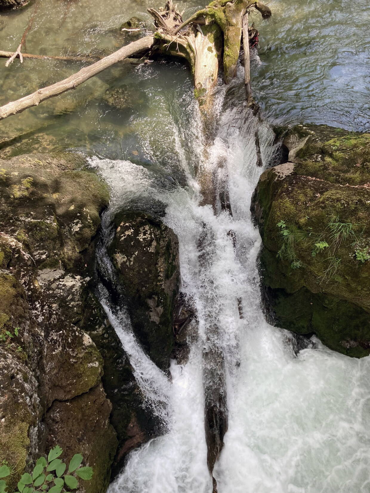 flussmitbaumweb.jpg