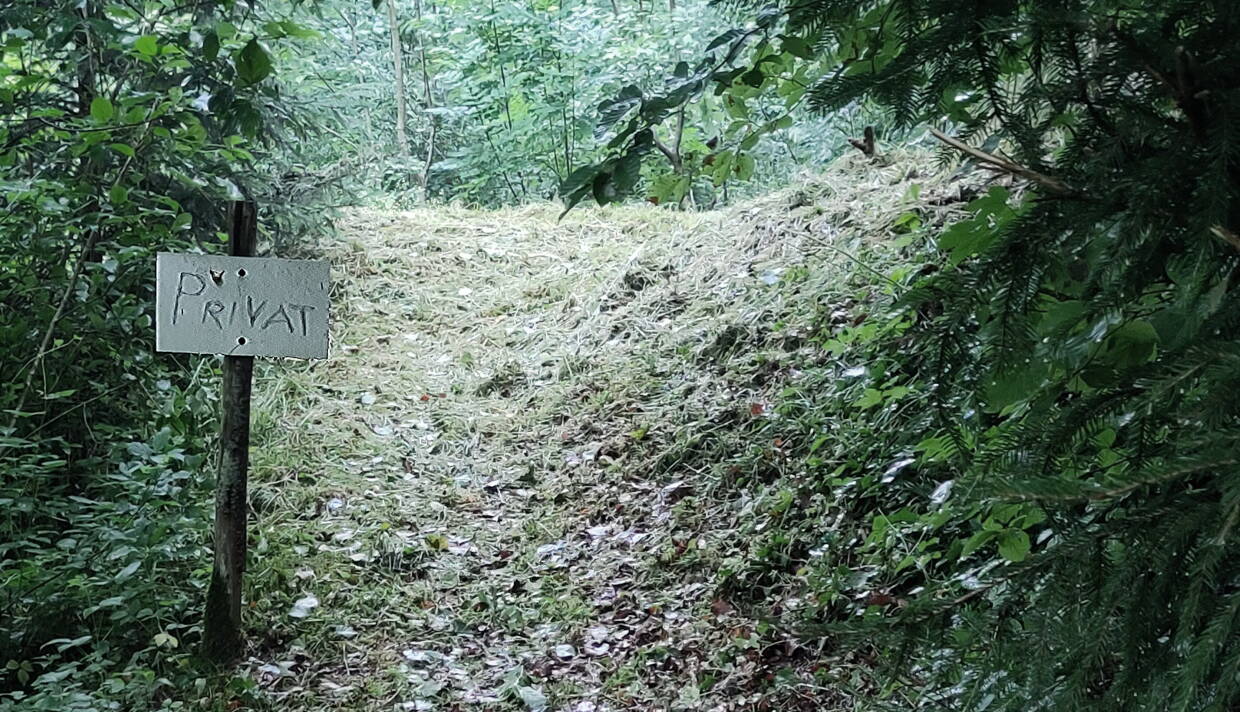 privat1zg.jpg
