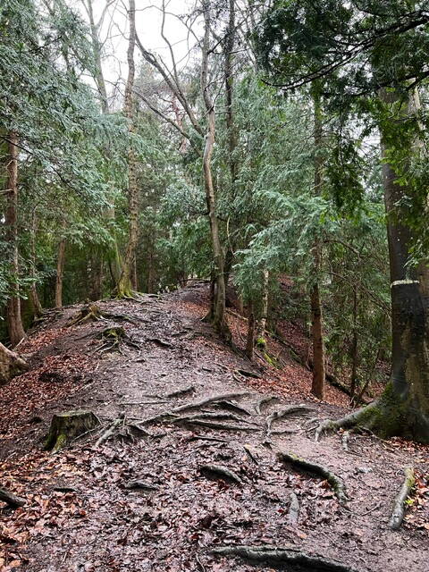 img_1382.jpg