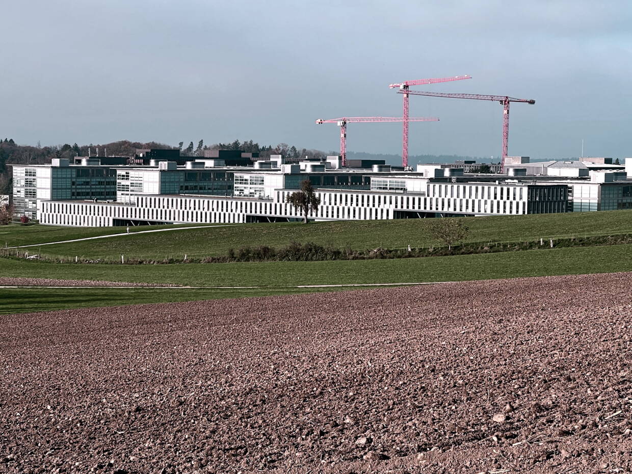 Aussicht vom Bänkli am Waldrand